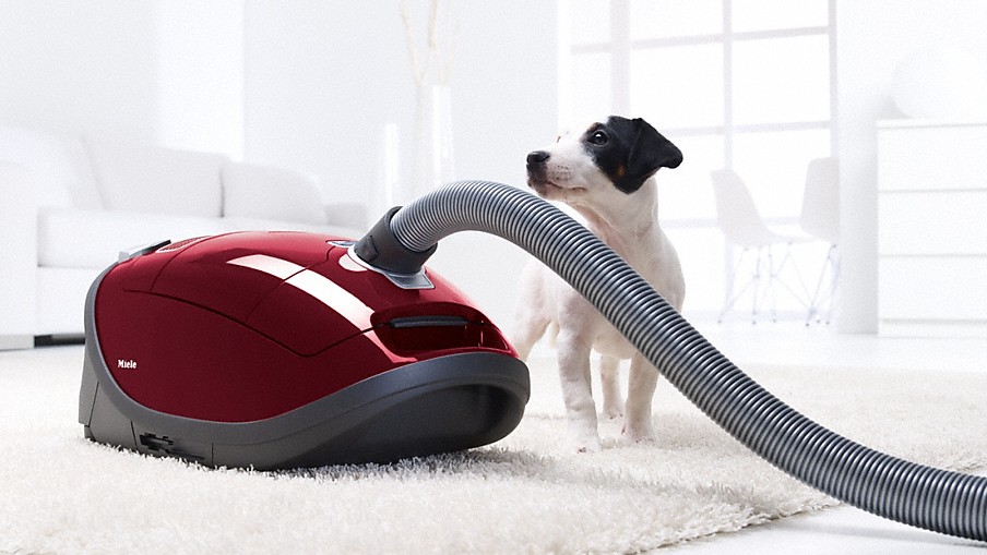 red vacuum and dog