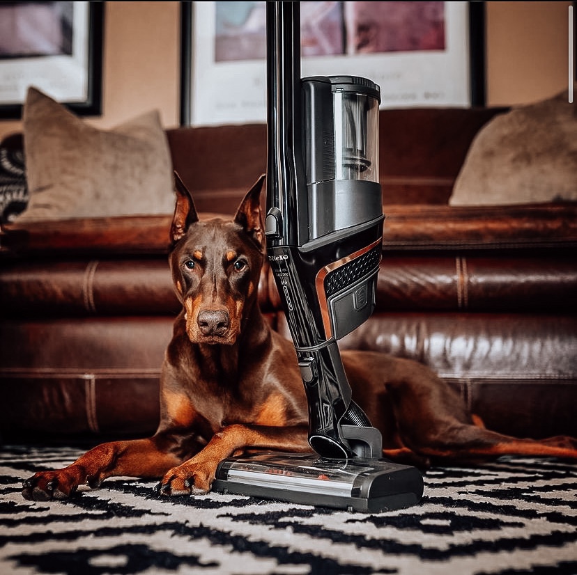 Keep Your Home Fur Free with Pet Vacuums from Miele
